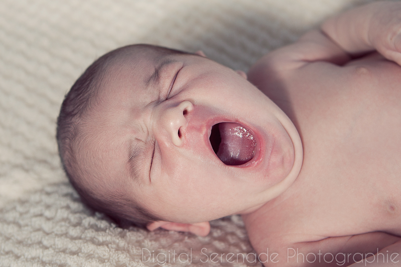 Shooting photo naissance – bébé – Bouches du Rhône – Var – Vaucluse – Alpes de Haute Pce – Rafael - Bébé, Naissance, Nouveau-né, Studio